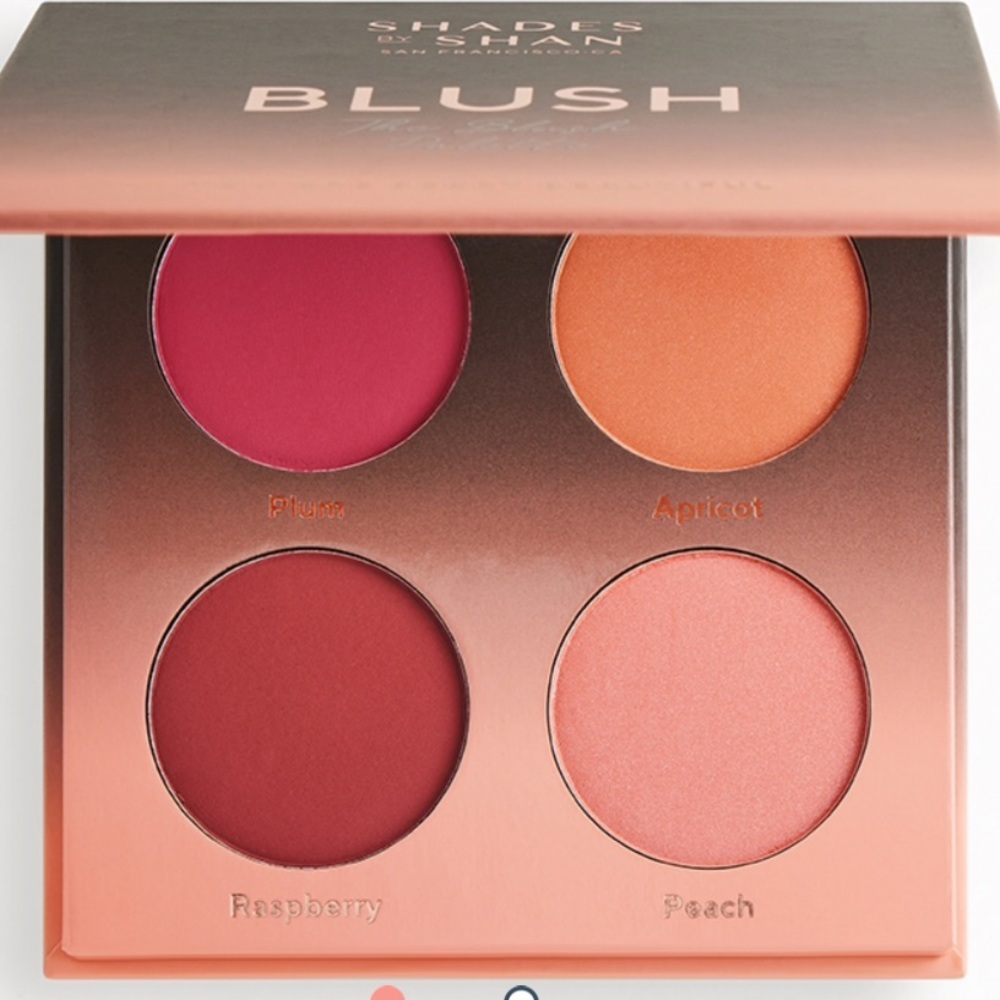 Shades by Shan: Blush palette